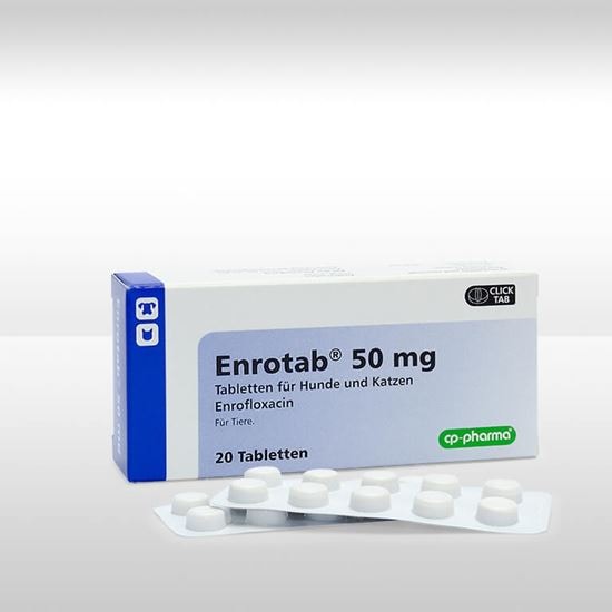 Enrotab 50 mg für Hunde u. Katzen (Enrofloxacin)_0