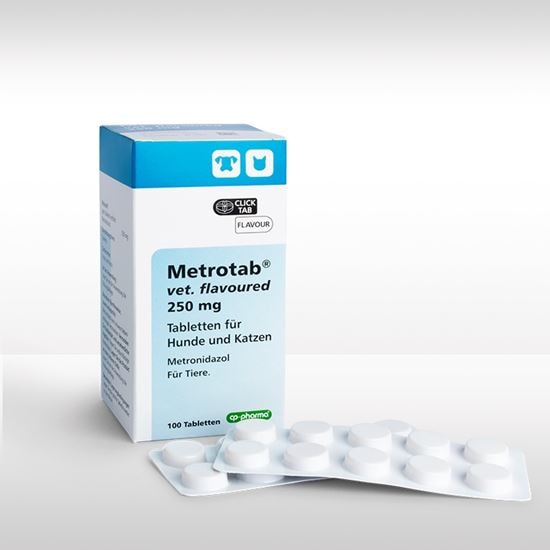 Metrotab® vet. flavoured 250 mg_0