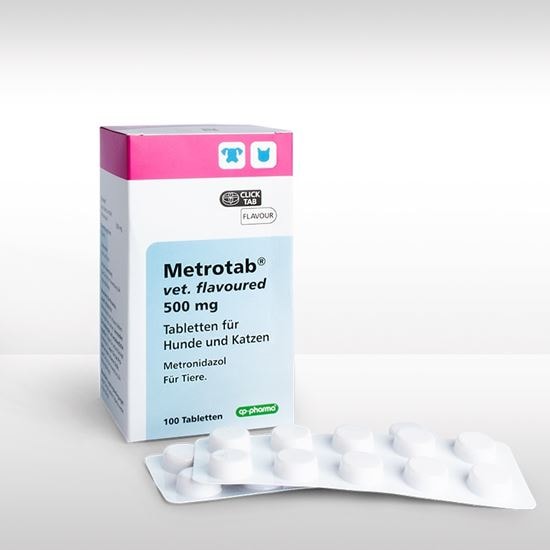 Metrotab® vet. flavoured 500 mg_0