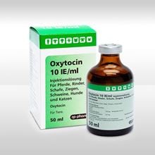 Oxytocin 10 IE/ml Inj.Lösung CP-Pharma_0