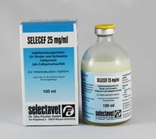 Selecef 25 mg/ml_0