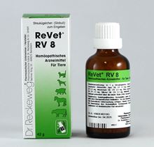 ReVet RV 8_0