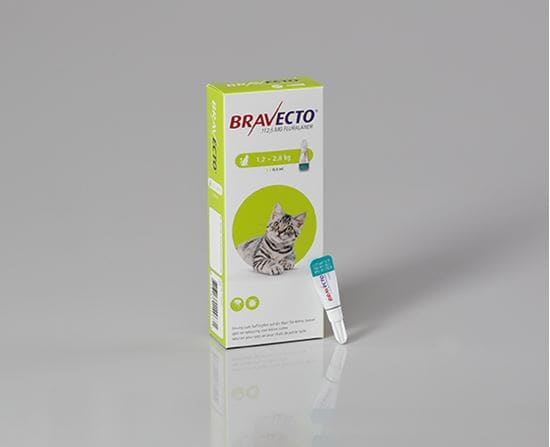 Bravecto Spot On für kleine Katzen 112,5 mg 1,2-2,8 kg_0