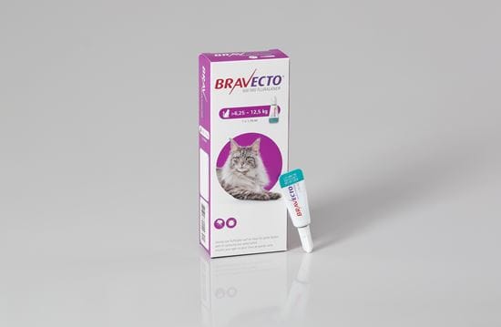 Bravecto Spot On für große Katzen 500 mg 6,25-12,5 kg_0