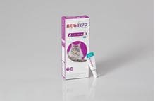 Bravecto® Spot On für Katzen (6,25-12,5)_0