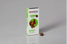 Bravecto 500 mg Hunde 10-20 kg_0