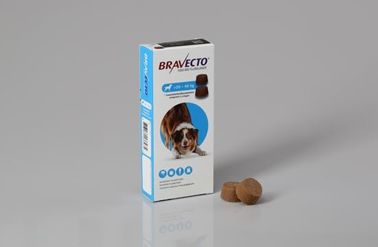 Bravecto Hund 1000 mg 20-40 kg_0