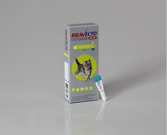 Bravecto Plus Katze 112,5 mg 1,2-2,8 kg_0