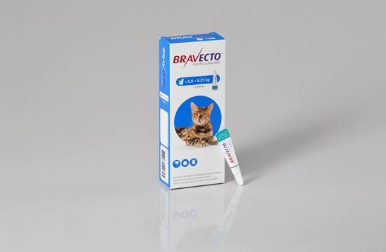 Bravecto Spot On für mittelgroße Katzen 250 mg 2,8-6,25 kg_0