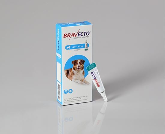 Bravecto Spot On für große Hunde 1000 mg 20-40 kg_0