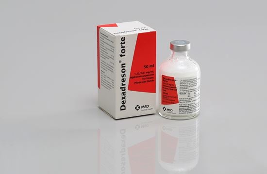 Dexadreson forte 1,32/2,67 mg/ml_0