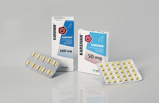 Karsivan 100 mg Tabletten_0