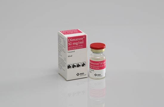 Dimazon Lösung 50 mg/ml_0