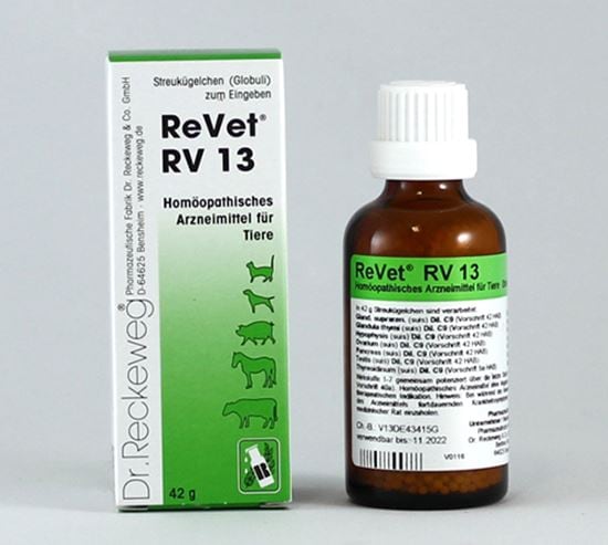 ReVet RV 13_0
