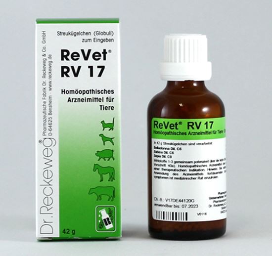 ReVet RV 17_0