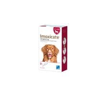 Imoxicate Hund 250 mg/62,5 mg_0