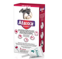 Ataxxa 1250 mg/250 mg Spot On für Hunde 10-25 kg_0