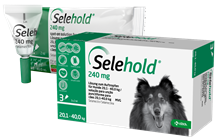 Selehold 240 mg Lsg. f. Hunde 20,1 - 40,0 kg_0
