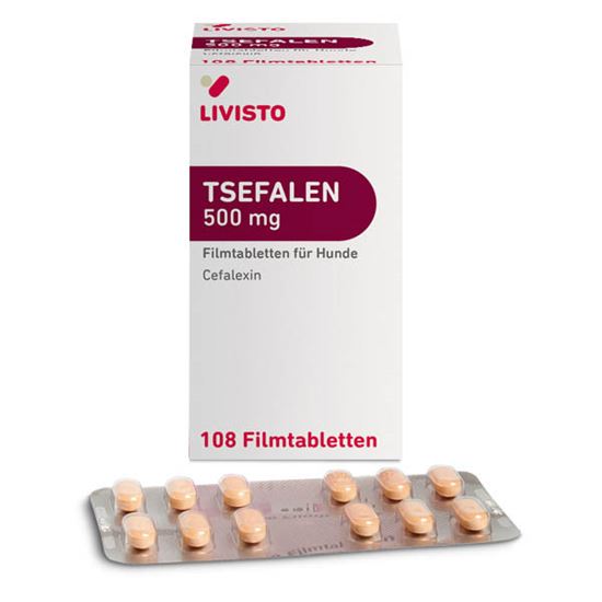 Tsefalen 500 mg Tabletten_0