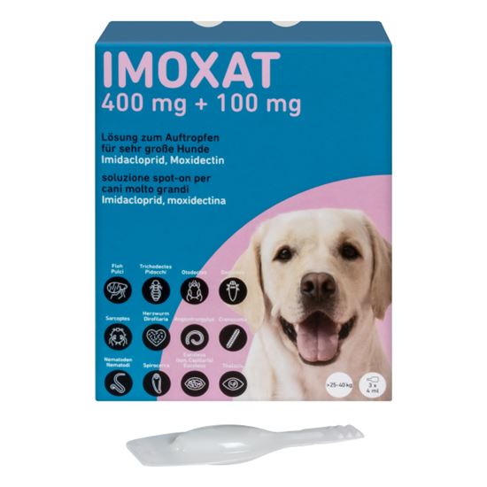 Imoxat 400 mg + 100 mg_0