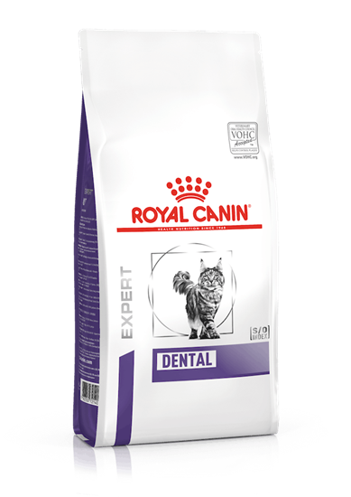 Royal Canin Expert Dental Trockenfutter für Katzen_0