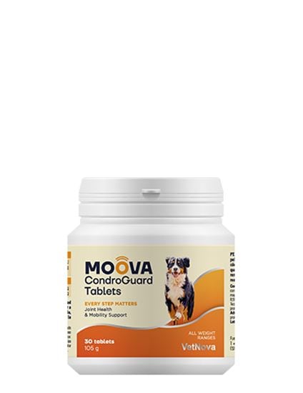 Moova® Condroguard Tabletten_0
