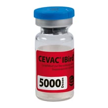 Cevac IBird 5000D_0