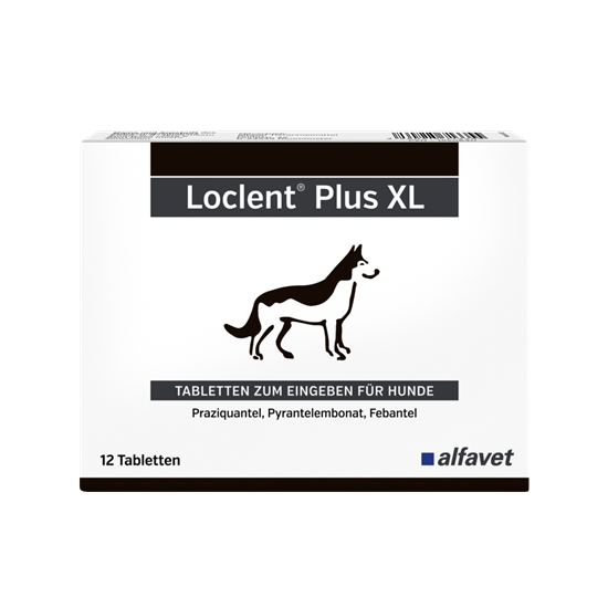 Loclent Plus XL_0