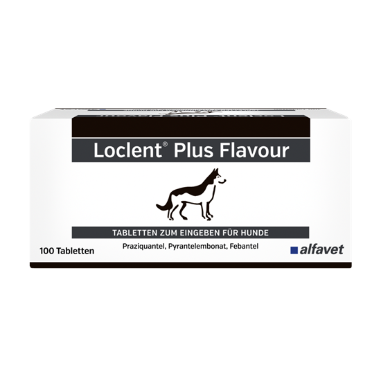 Loclent Plus Flavour_0