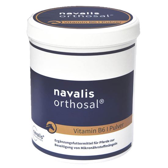 navalis orthosal Vitamin B6 HORSE Pulver_0