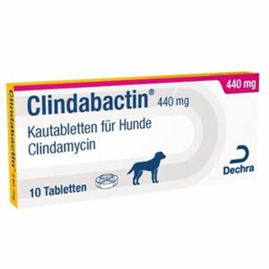 Clindabactin 440 mg_0