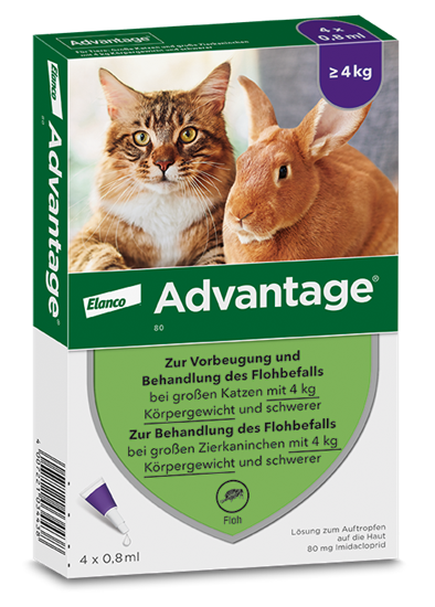 Advantage 80 Katze + Kaninchen (> 4 kg)_0