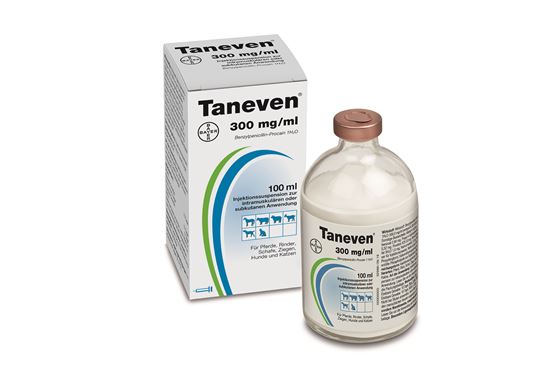 Taneven 300 mg/ml_0