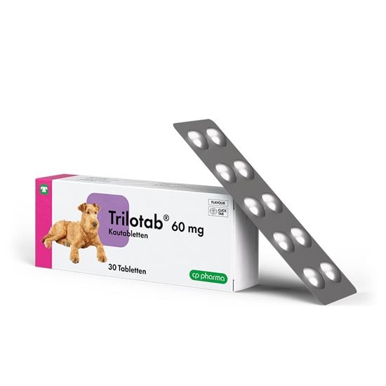 Trilotab 60 mg Kautabletten für Hunde_0