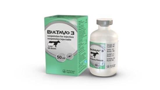 BulTaVo 3_0