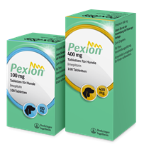 Pexion 100 mg Tabletten_1