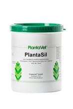 PlantaSil_1