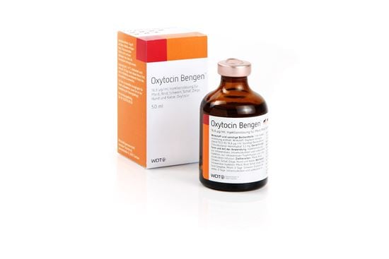 Oxytocin Bengen_0