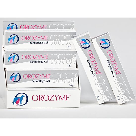 Orozyme Zahnhygiene Gel Display_2147483647