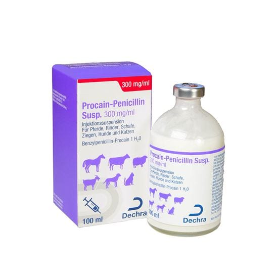 Procain-Penicillin_2147483647