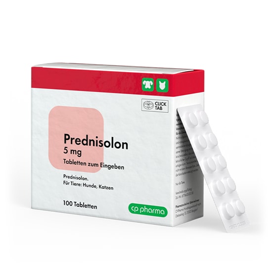 Prednisolon 5 mg Tabletten_2147483647