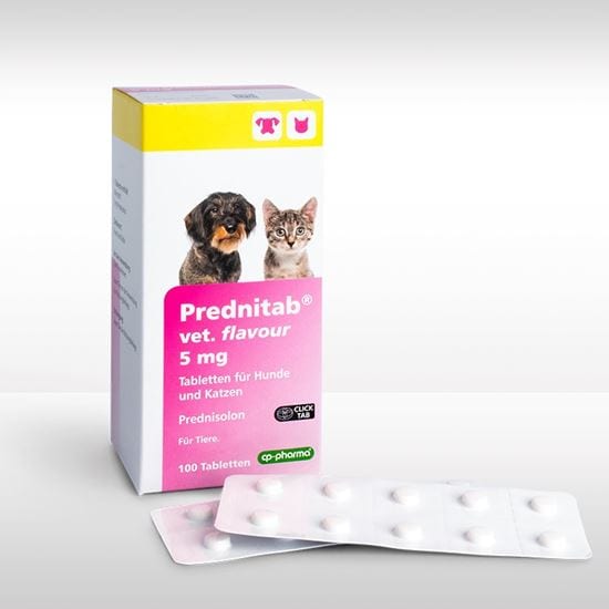 Prednitab vet. flavour 5 mg Tabletten_2147483647