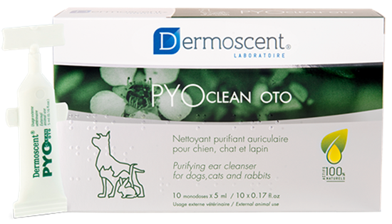 PYOclean Oto_2147483647