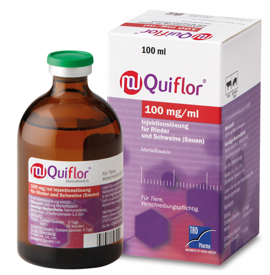 Quiflor 100 mg/ml Injektionslösung für Rinder und Schweine_2147483647