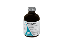 Proxylaz_2147483647