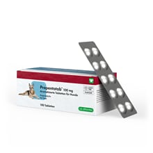 Propentotab 100 mg Aromatisierte Tabl. für Hunde_1