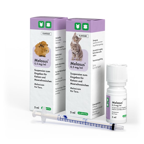 Melosus 0,5 mg/ml Suspension für Katzen und Meerschweinchen_2147483647