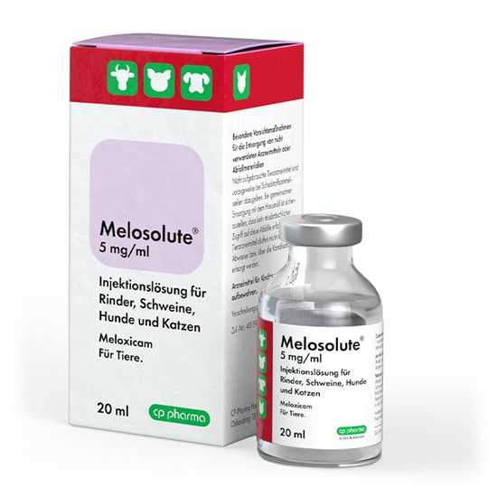 Melosolute 5 mg/ml Inj.-Lsg. _2147483647