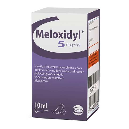 Meloxidyl 5 mg/ml Injektionslösung_1