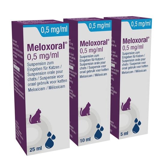 Meloxoral Katze 0,5 mg/ml_2147483647